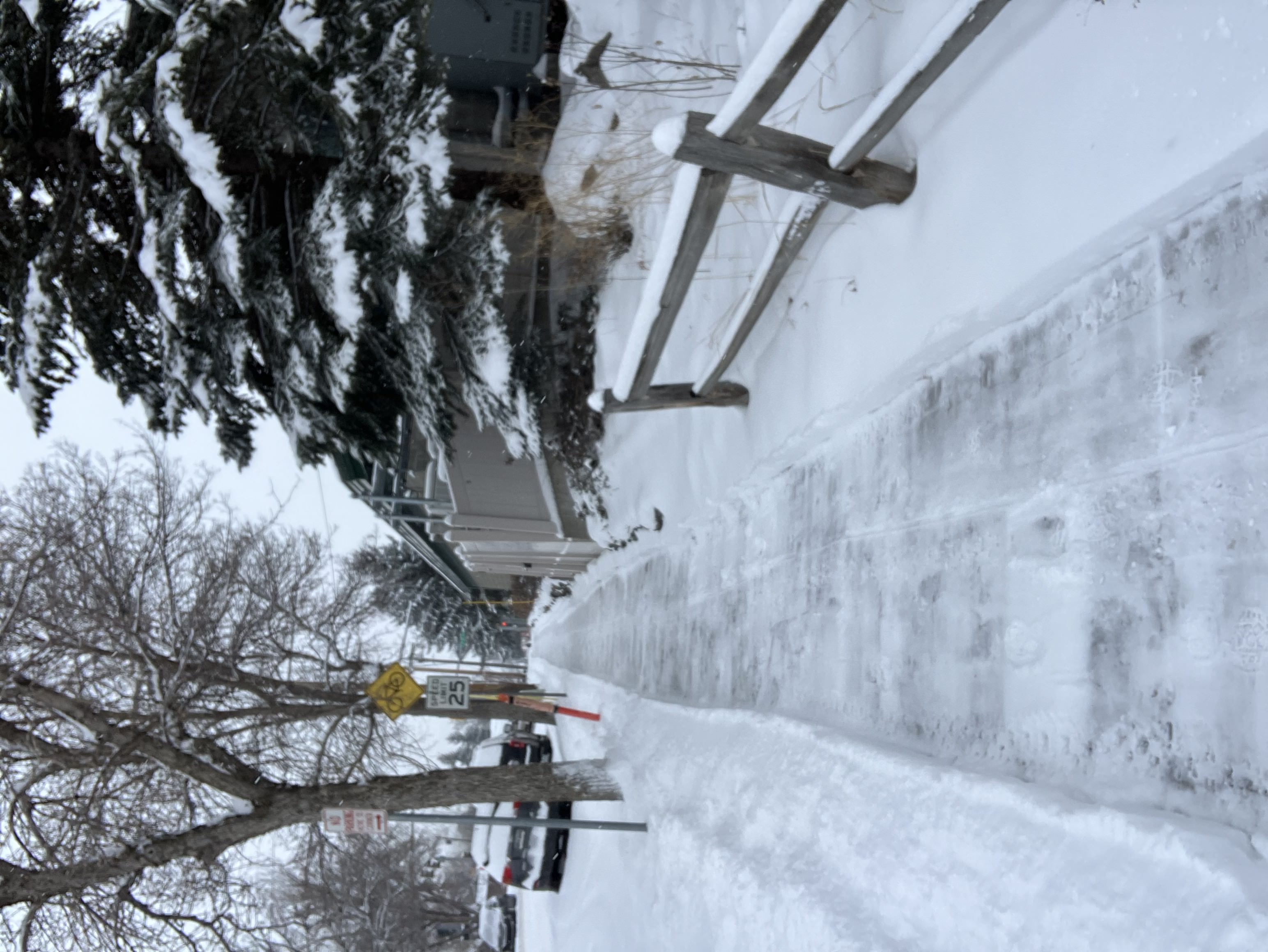 Residential sidewalk de-iced for safe access